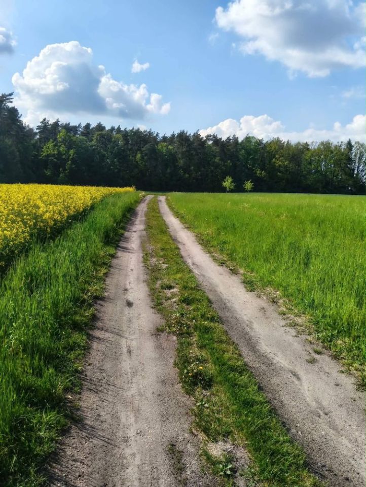 Działka budowlana Folwarki Małe. Zdjęcie 7