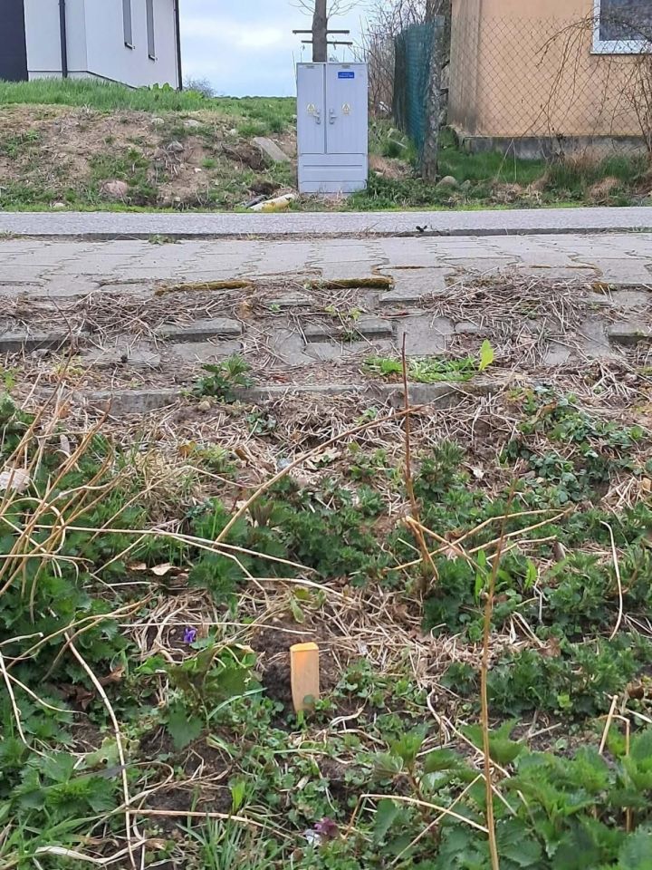 Działka rolna Bukówno Śliwiny. Zdjęcie 6