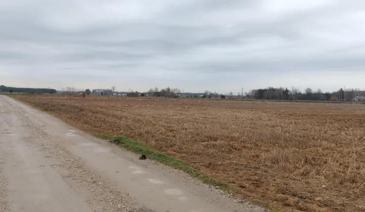 Działka budowlana Jedlanka, ul. Cicha