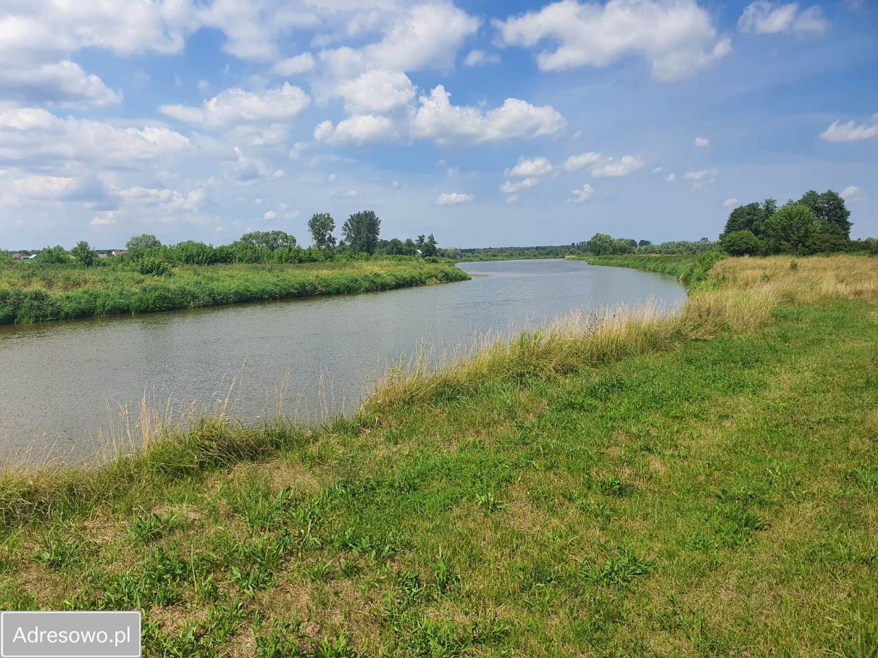 Działka rekreacyjna Morzyczyn-Włóki. Zdjęcie 2