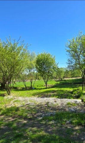 Działka budowlana Czaniec. Zdjęcie 1