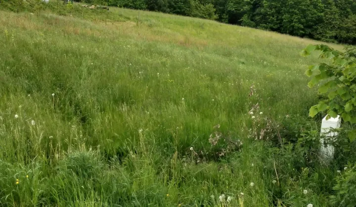 Działka budowlana Widlino