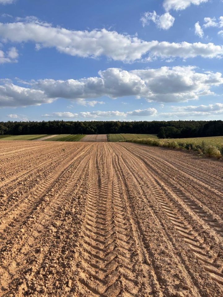 Działka siedliskowa Jaślików. Zdjęcie 3
