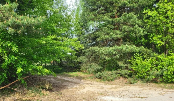 Działka budowlana Rybnik Orzepowice, ul. Bratków