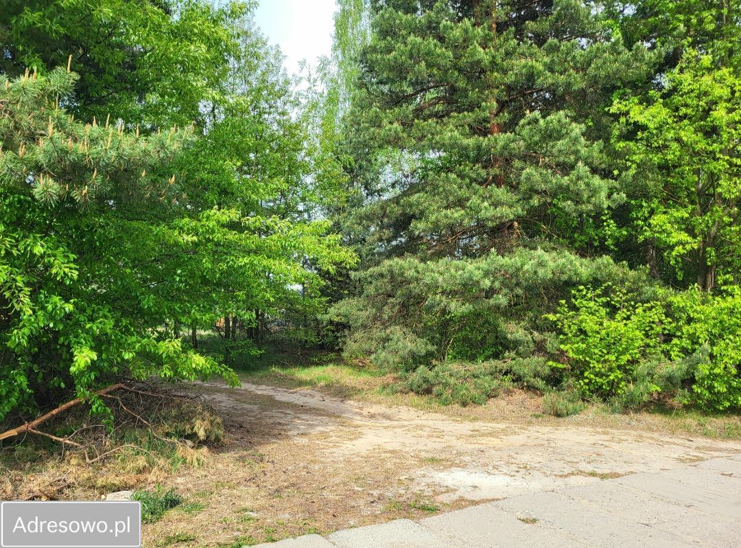 Działka budowlana Rybnik Orzepowice, ul. Bratków. Zdjęcie 1