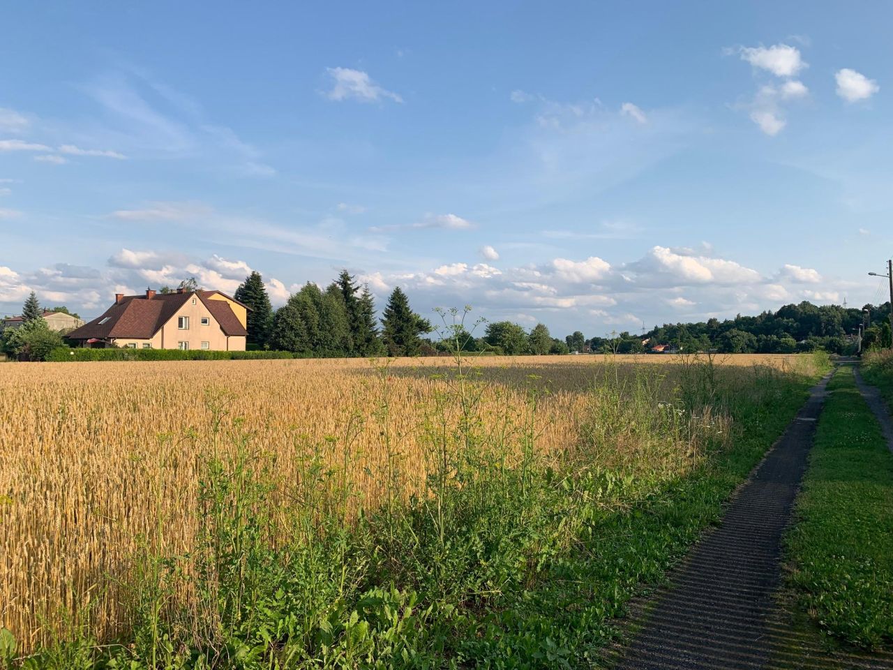 Działka budowlana Ostrowiec Świętokrzyski Częstocice, ul. Chmielowska. Zdjęcie 1