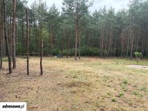 Działka rekreacyjna Adamowo. Zdjęcie 1