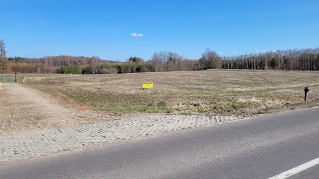 Działka rolno-budowlana Buczek. Zdjęcie 1