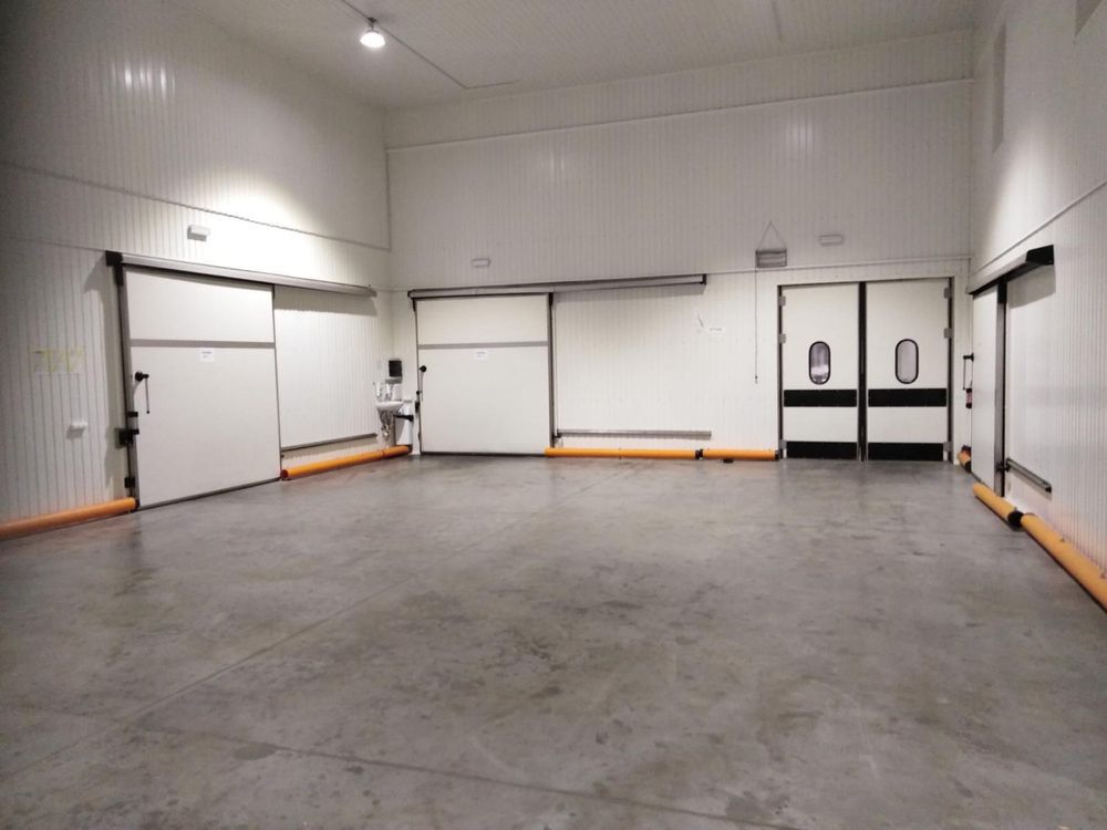 Hala/magazyn Krapkowice. Zdjęcie 8