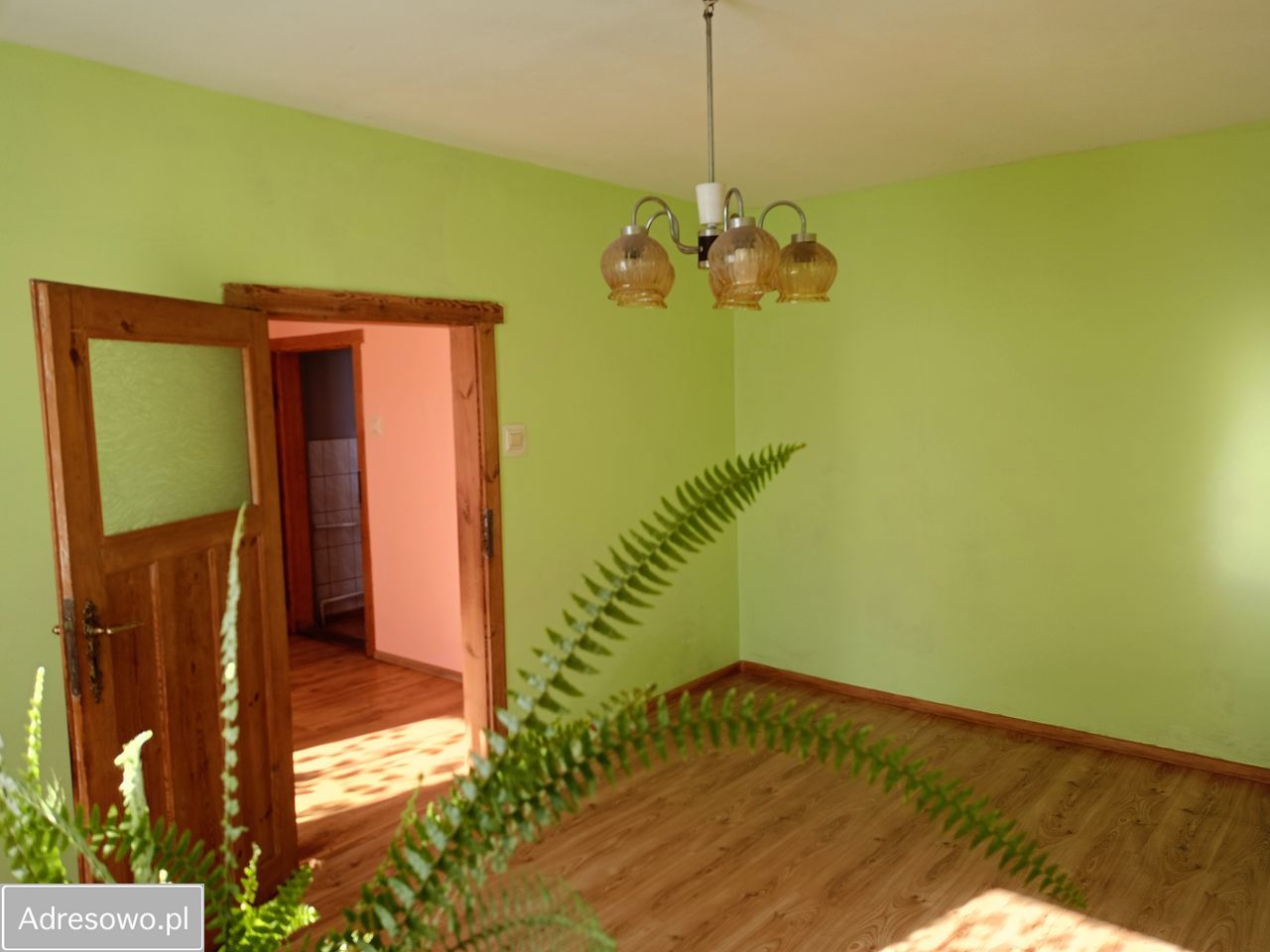 dom wolnostojący, 3 pokoje Olszyna, ul. Adama Asnyka. Zdjęcie 7