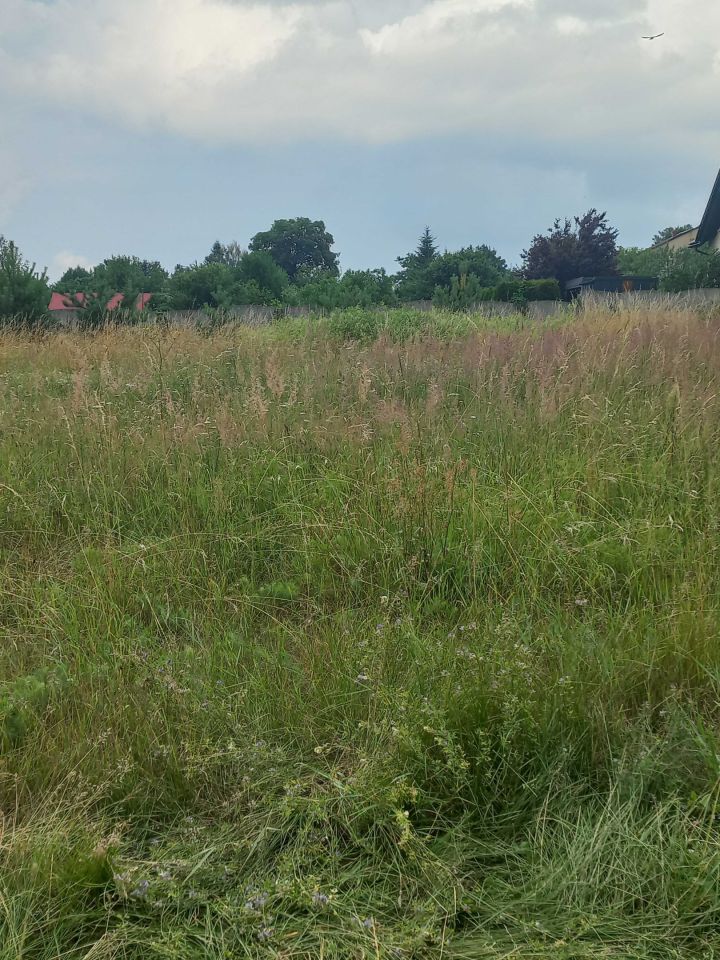 Działka budowlana Żurada Trzecia Kolonia. Zdjęcie 2