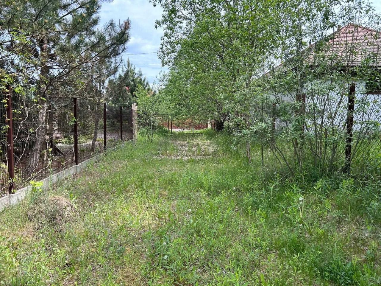 Działka budowlana Cybulice Małe. Zdjęcie 3