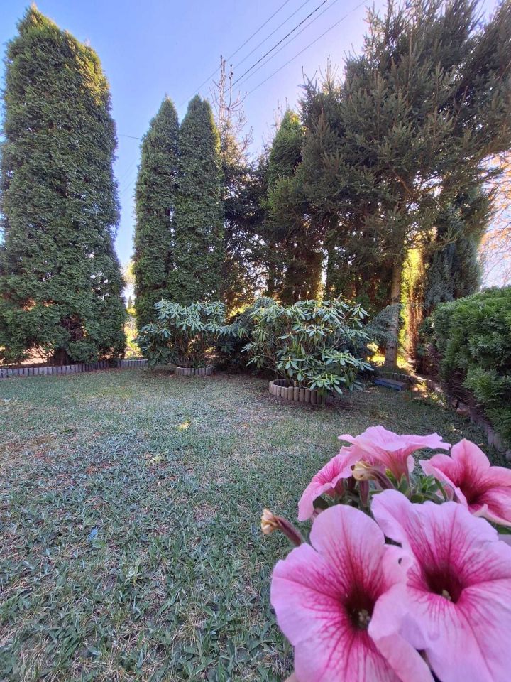 Działka rod Łódź Polesie, ul. Biegunowa. Zdjęcie 5