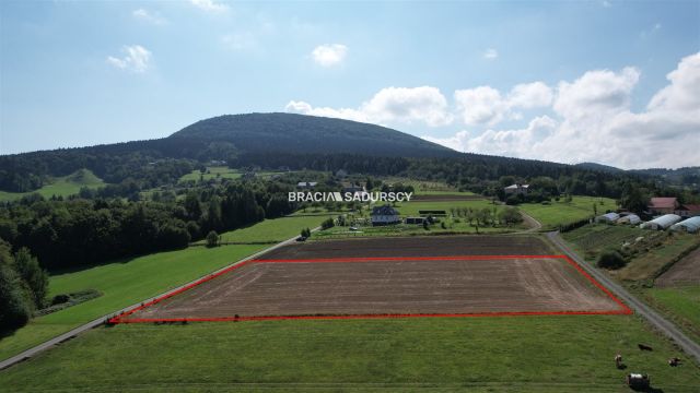 Działka rolno-budowlana Szyk. Zdjęcie 10