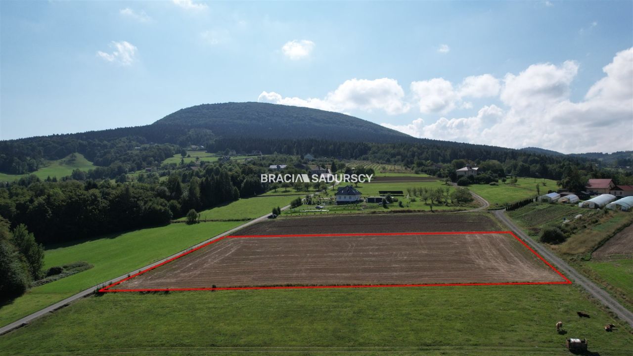 Działka rolno-budowlana Szyk. Zdjęcie 10