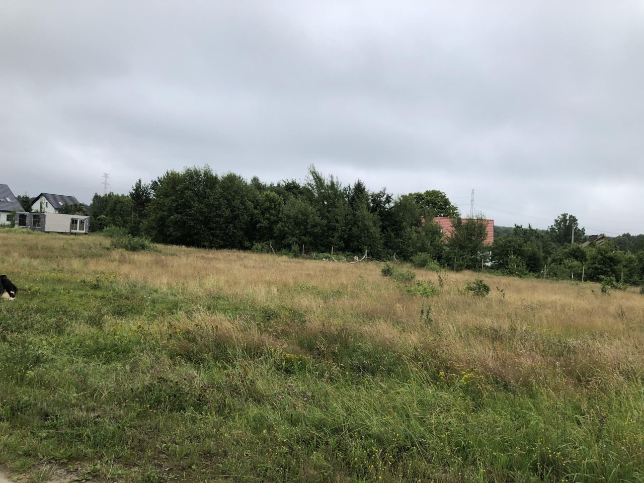 Działka budowlana Borcz Borcz-Leśniczówka, ul. Spacerowa. Zdjęcie 2