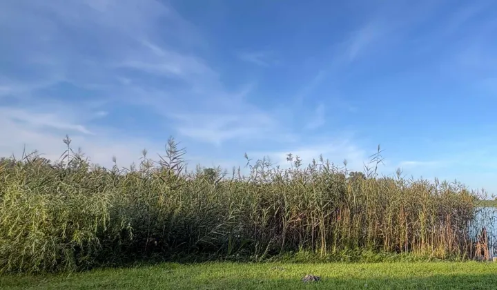 Działka rekreacyjna Julianowo