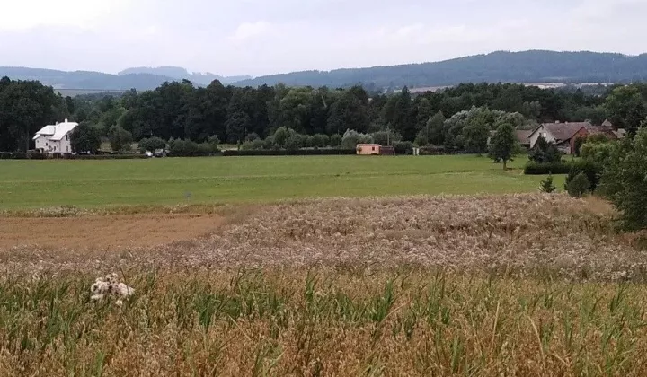 Działka budowlana Kudowa-Zdrój