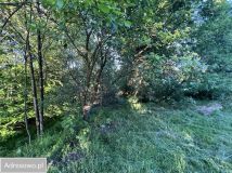 Działka budowlana Wodzisław Śląski, ul. Grodzisko. Zdjęcie 1