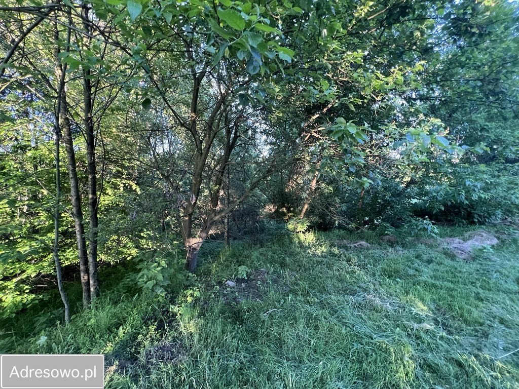 Działka budowlana Wodzisław Śląski, ul. Grodzisko. Zdjęcie 2