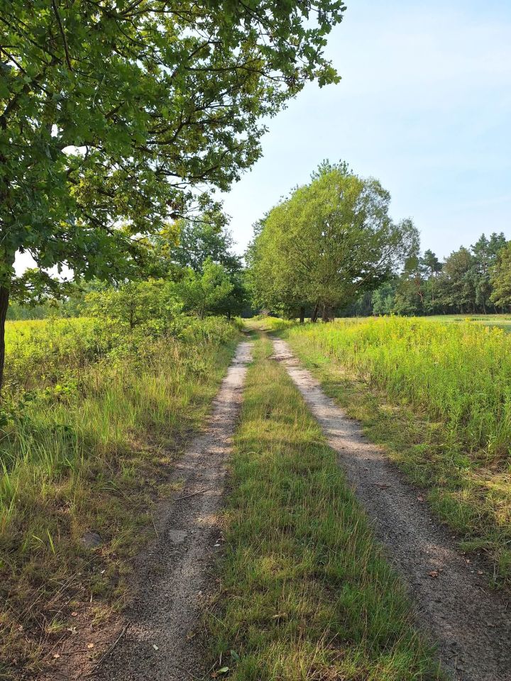 dom wolnostojący, 3 pokoje Dąbrówka Dolna, ul. Budkowska. Zdjęcie 15