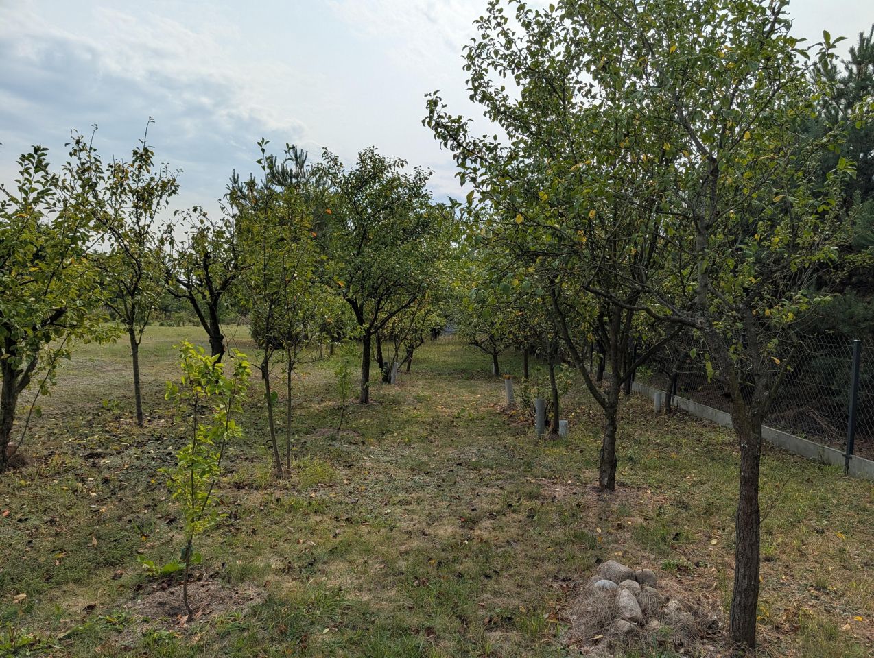 dom wolnostojący Łuków, ul. Polna. Zdjęcie 5