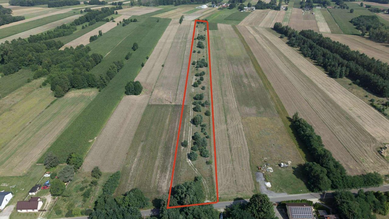 Działka rolno-budowlana Mrowiczna. Zdjęcie 2