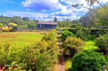 Działka rod Gostynin, ul. Kowalska. Zdjęcie 4