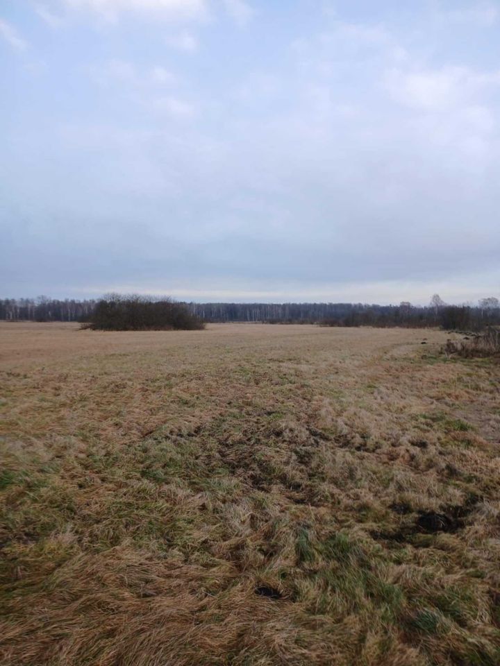 Działka rolna Słupia. Zdjęcie 3