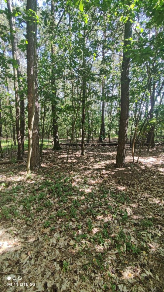 Działka budowlana Bądzyń, ul. Zbigniewa. Zdjęcie 4