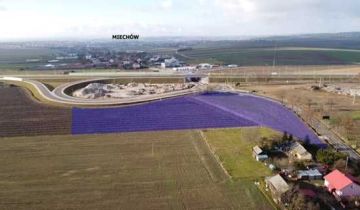 Działka inwestycyjna Miechów