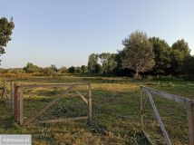 Działka budowlana Warszawa Wawer, ul. Skalnicowa. Zdjęcie 3