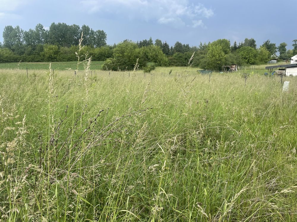 Działka budowlana Popów. Zdjęcie 2