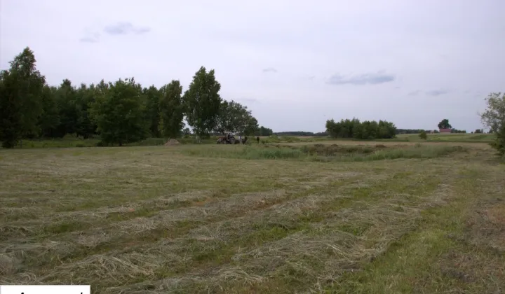 Działka siedliskowa Modrzewie