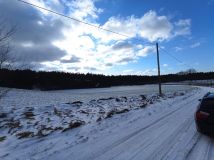 Działka leśna Wielęcin. Zdjęcie 3