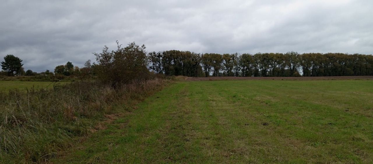 Działka rolna Bajory Wielkie. Zdjęcie 3