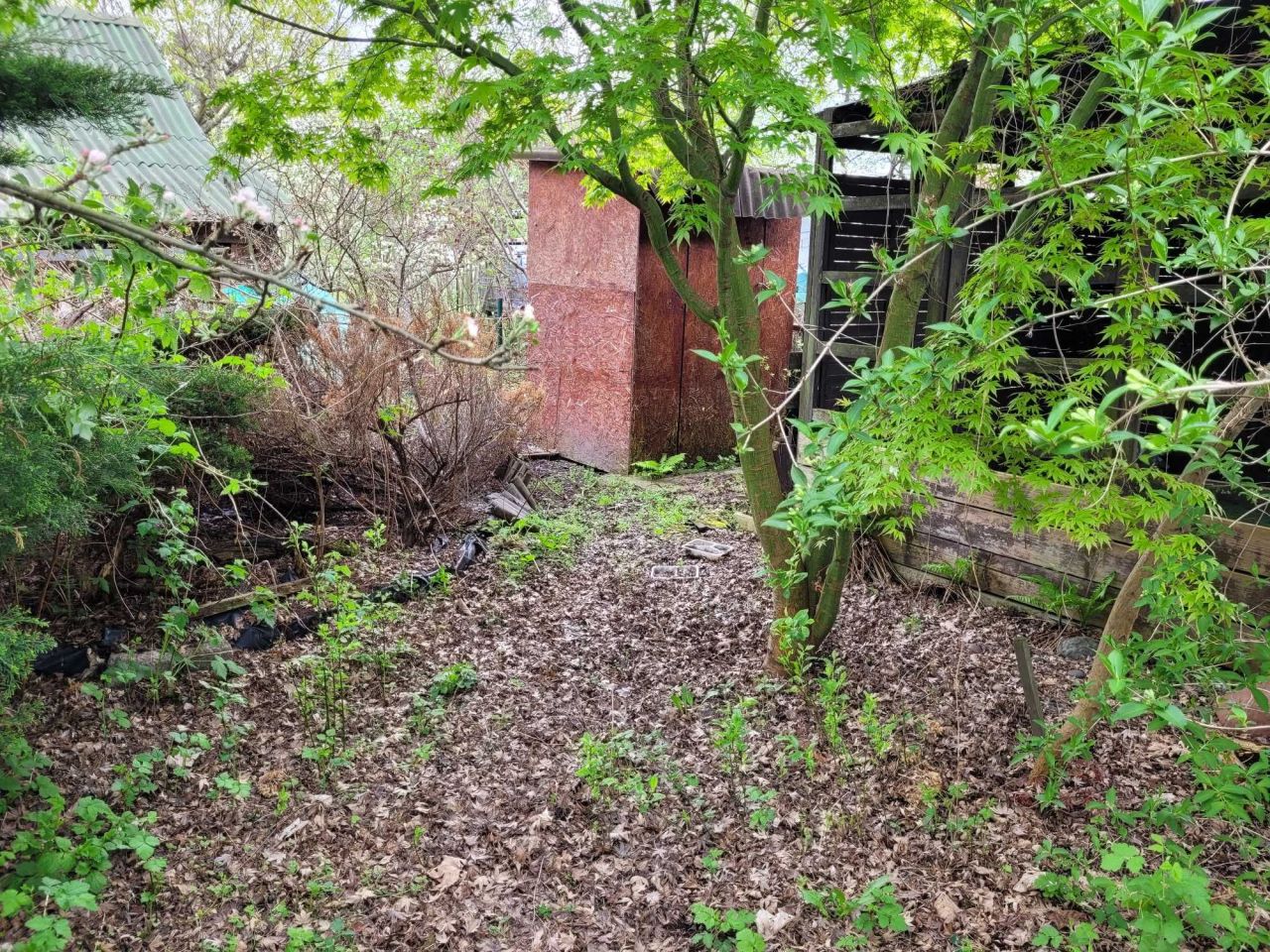 Działka rod Wrocław Partynice, ul. Ołtaszyńska. Zdjęcie 5