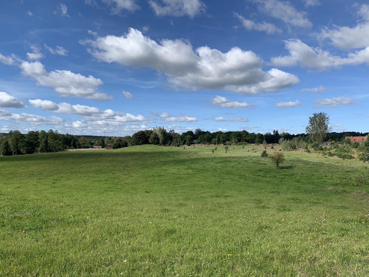 Działka budowlana Zalbki. Zdjęcie 6