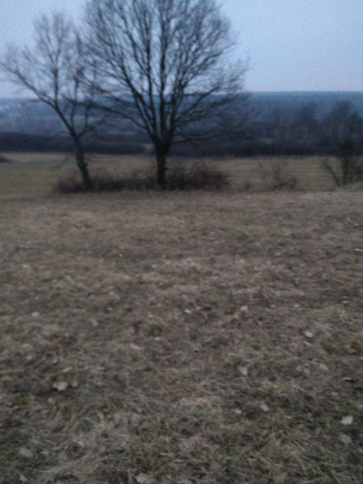 Działka rolna Poręba Niwki. Zdjęcie 2