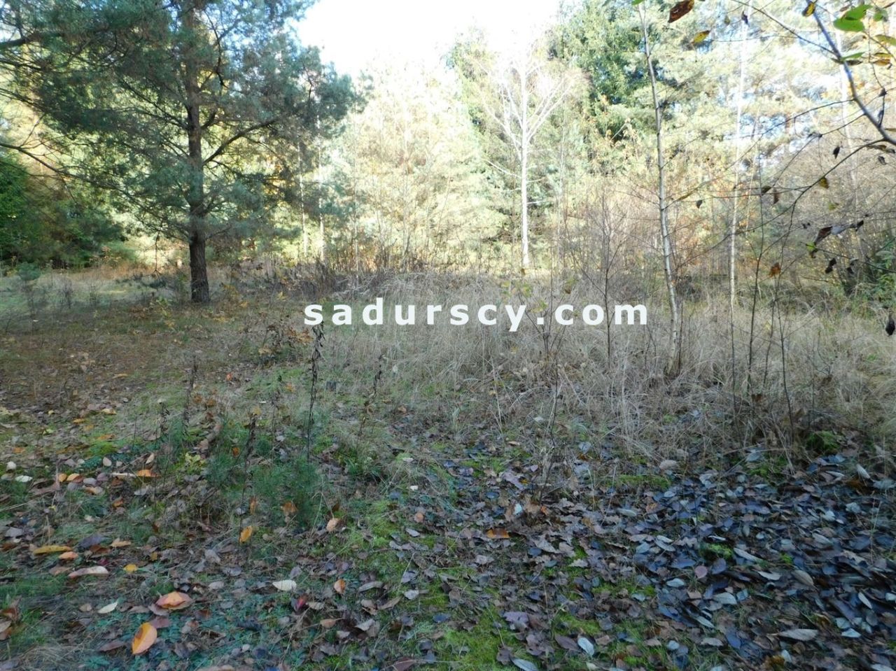 Działka budowlana Biały Ług. Zdjęcie 22