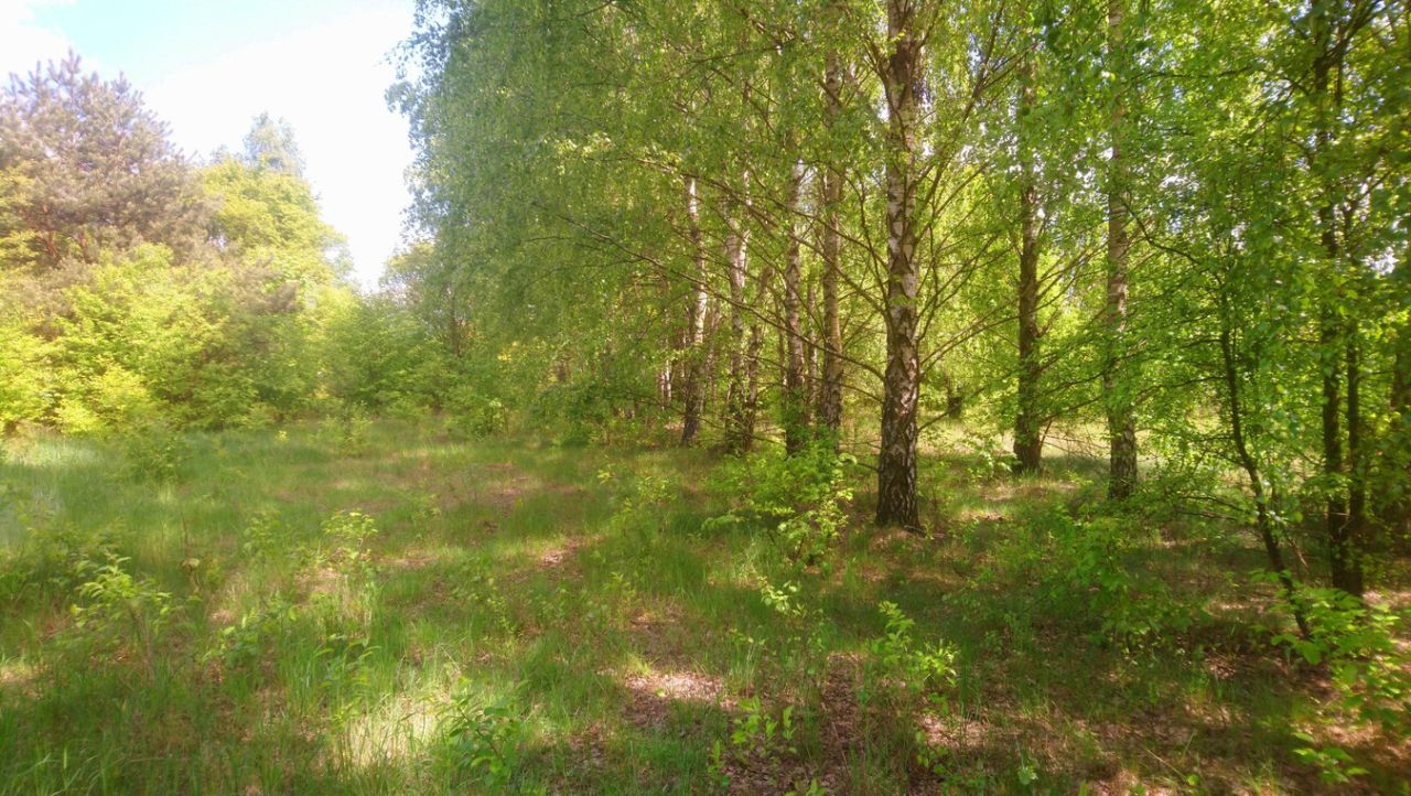 Działka budowlana Popielżyn-Zawady. Zdjęcie 3