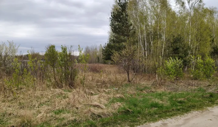 Działka rekreacyjna Pieszowola