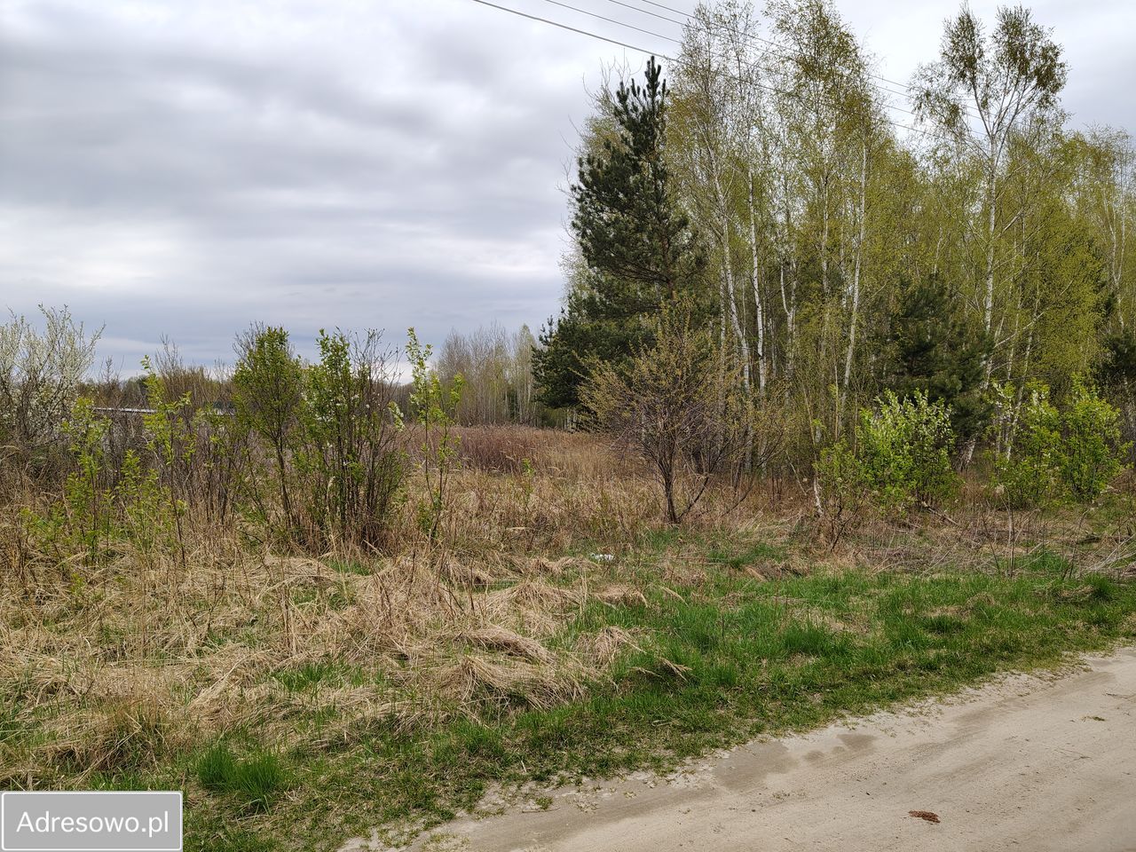 Działka rekreacyjna Pieszowola. Zdjęcie 1