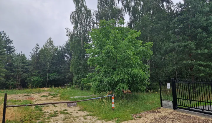 Działka budowlana Ostrowiec Świętokrzyski Piaski, ul. Spokojna