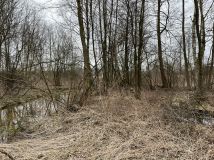 Działka rolno-budowlana Tomczyn Stare Cychry. Zdjęcie 4