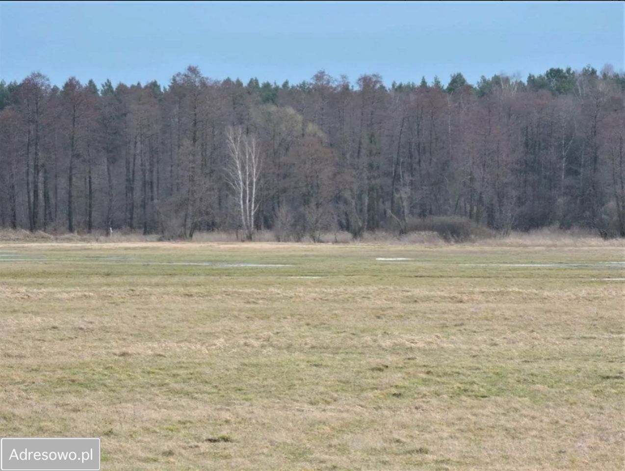 Działka rolna Kąck, ul. Malownicza. Zdjęcie 7