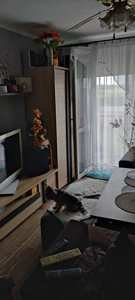 Mieszkanie 2-pokojowe Gogolin. Zdjęcie 3