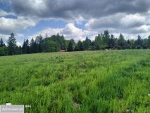 Działka budowlana Dąbrówka. Zdjęcie 2