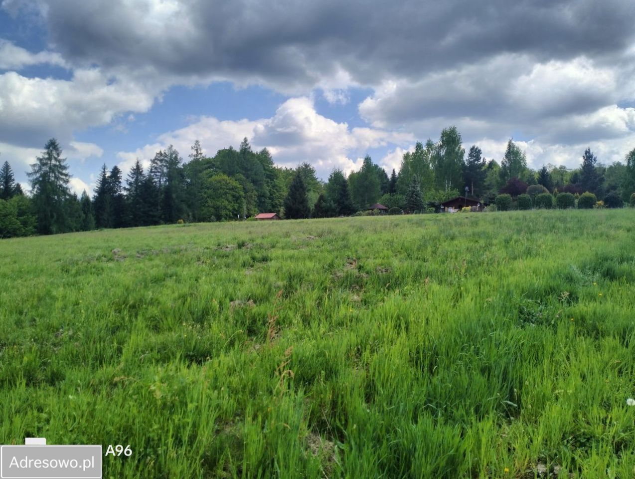 Działka budowlana Dąbrówka. Zdjęcie 3