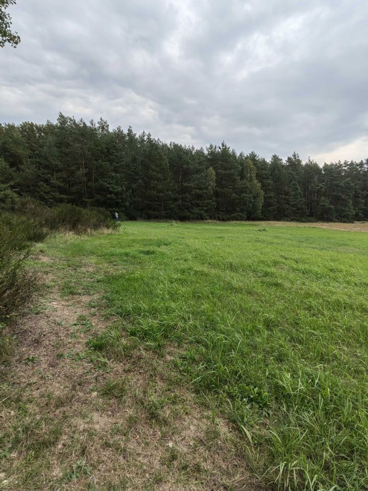 Działka budowlana Mikorzyce. Zdjęcie 2